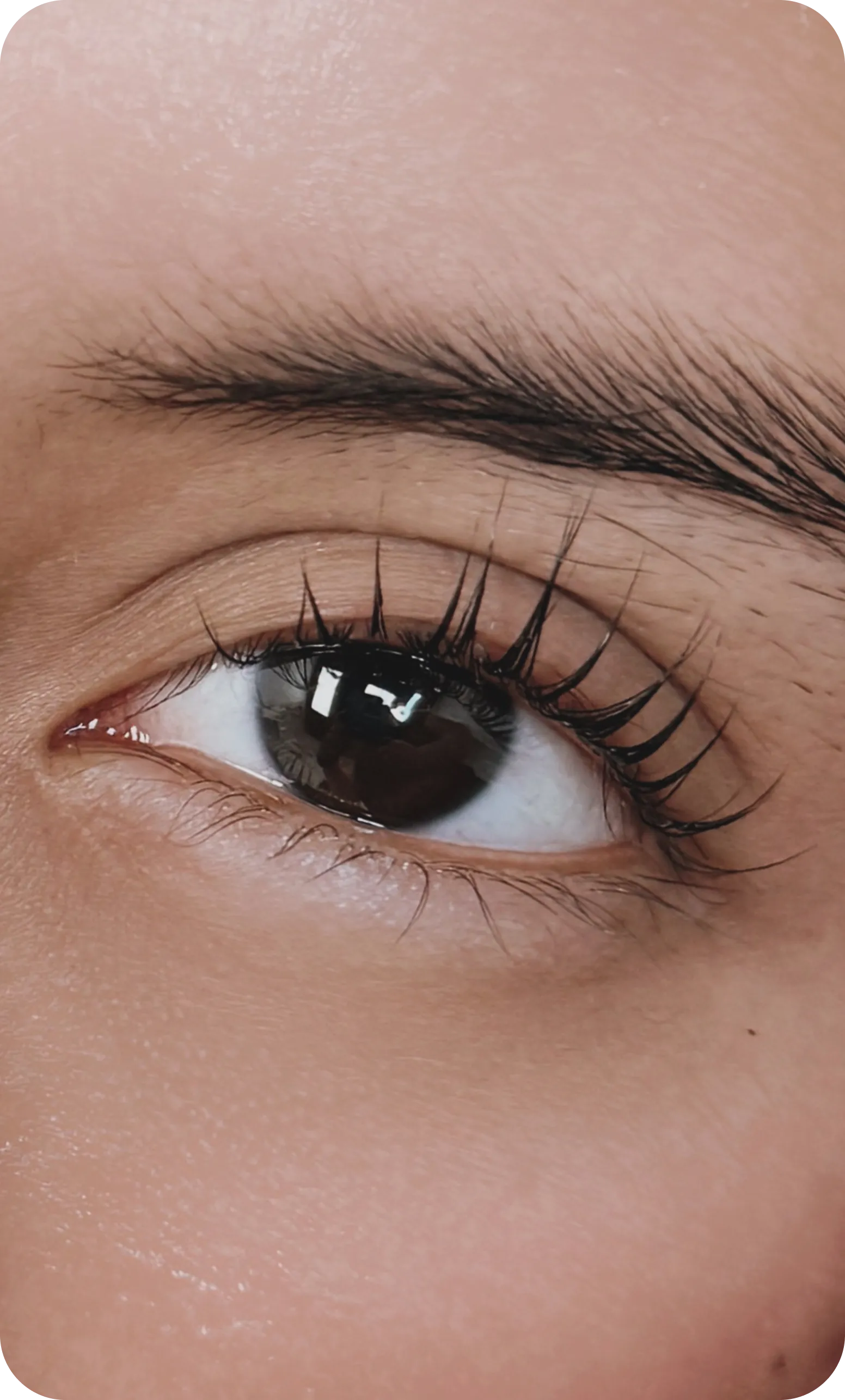 Close-up of an eye with lashes curled after a lash lift.