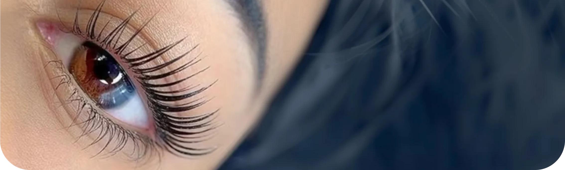 Lashes, case 1: after the treatment.
